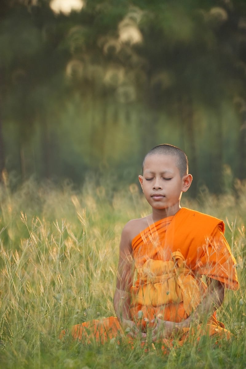 Wilderness Meditation